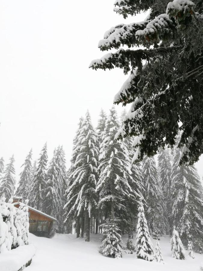 Elitza Villa Pamporovo Exterior foto
